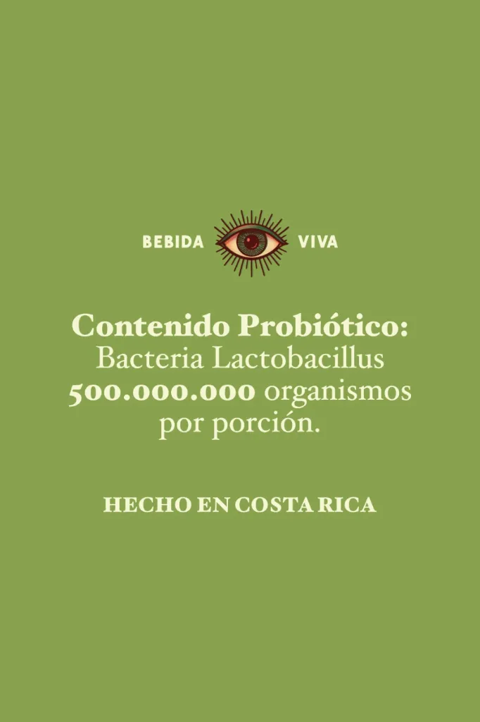 Limonada con Hierbabuena - Wild Kombucha Clásica